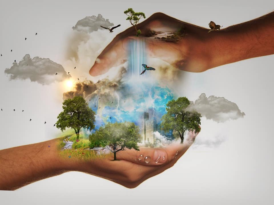 Biodiversidad en peligro: estrategias para su conservación en América Latina